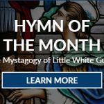 Little White Guest